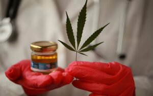 Medical Cannabis and the Issue of Workplace Protections